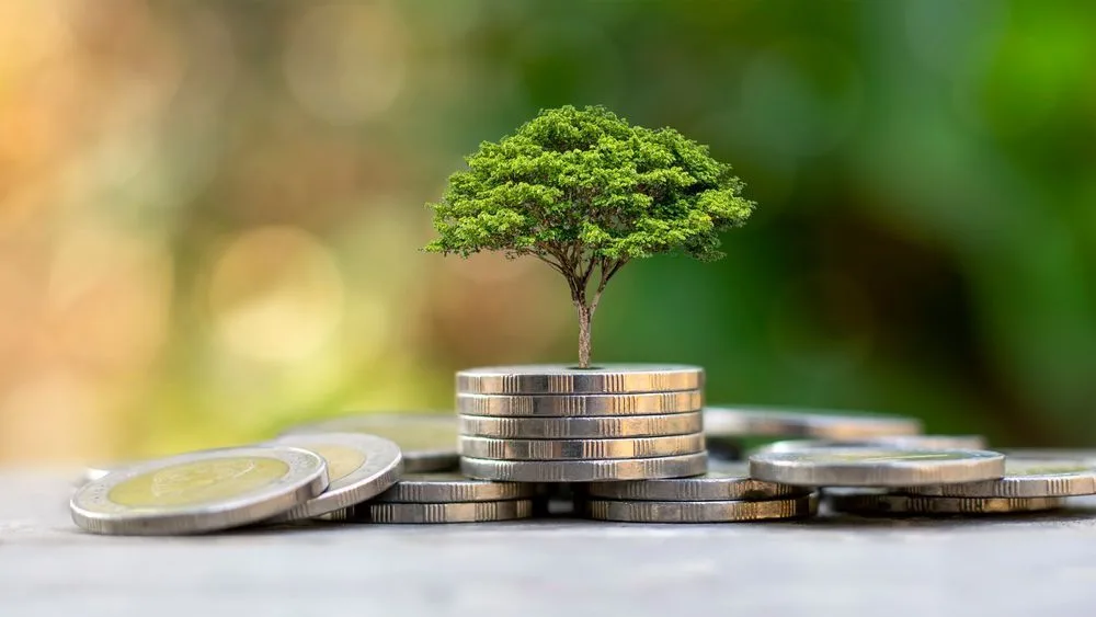 Investing in green bonds