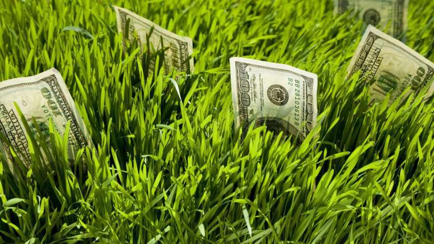 Investing in green bonds